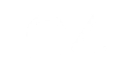 logo in4